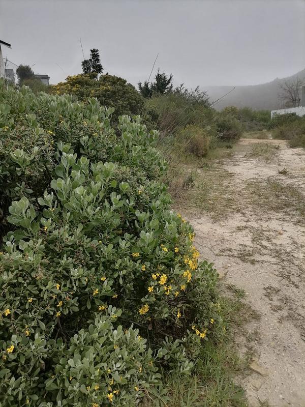 0 Bedroom Property for Sale in Chanteclair Western Cape